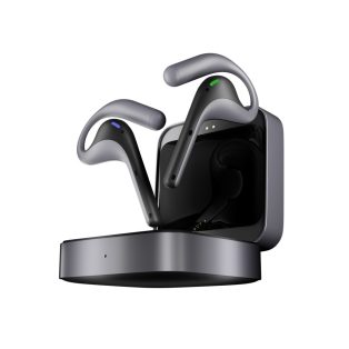 Timekeetle W4 Pro, Prémium AI tolmács