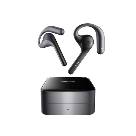 Timekeetle W4 Pro, Prémium AI tolmács